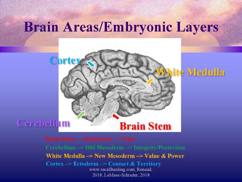 Emotional roots in Brain Cancers page 34